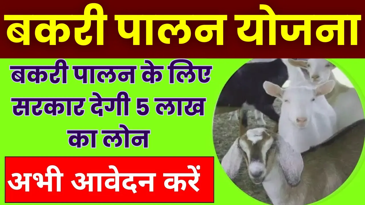 Bakri Palan Yojana